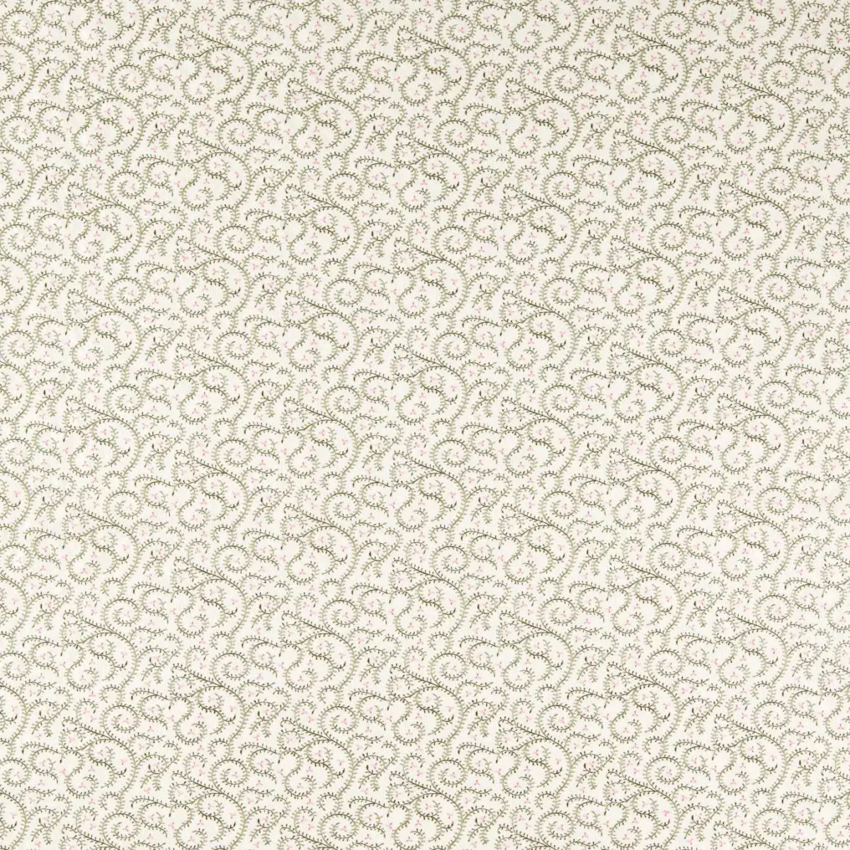 green botanical embroideried fabric from Clarke & Clarke