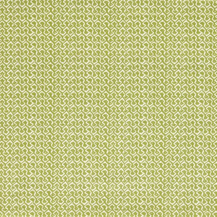 Kalpa Fabric - Apple swatch