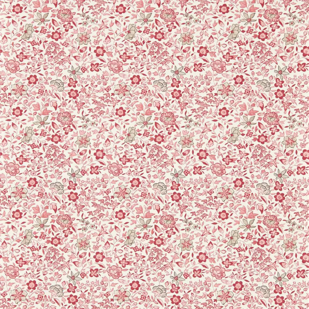 Gamthi Wallpaper - Blush by pink botanical wallpaper from clarke & clarke