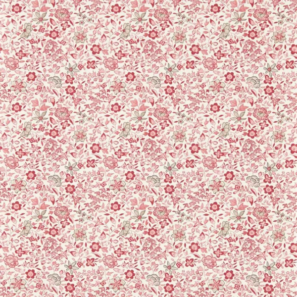 Gamthi Wallpaper - Blush by pink botanical wallpaper from clarke & clarke