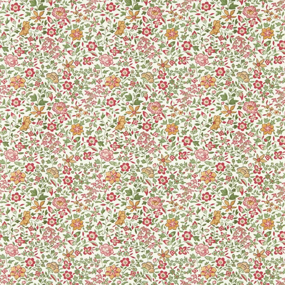 Gamthi Wallpaper - Sage / Blush by green botanical wallpaper from clarke & clarke
