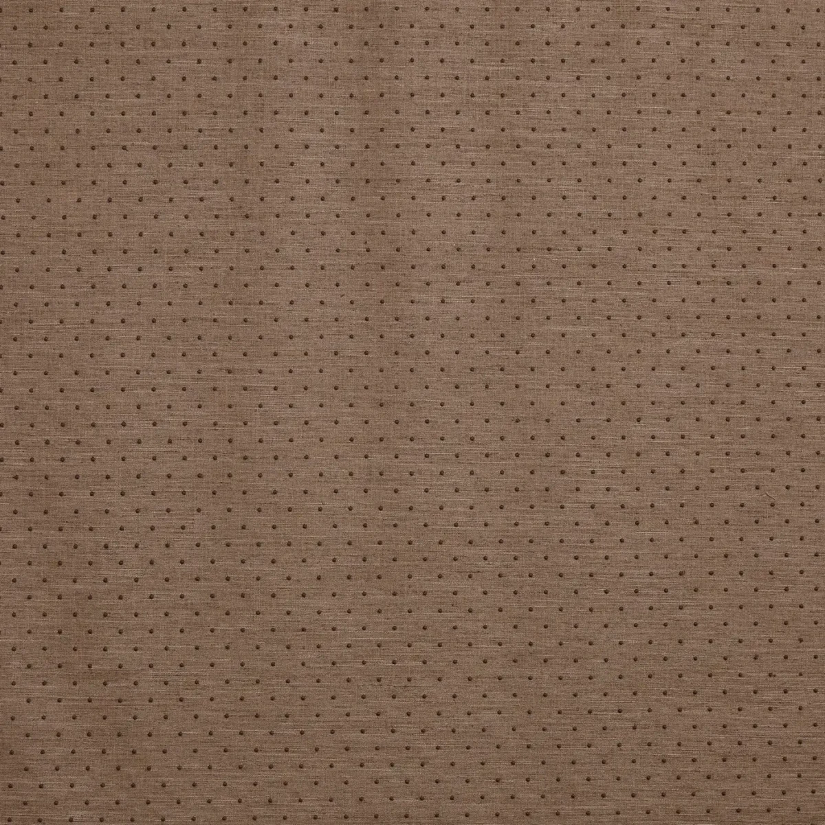 Ava Fabric - Butterscotch by brown spotted embroideried fabric from Prestigious Textiles