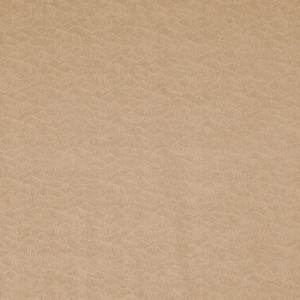 Dara Fabric - Earth by neutral misc velvet-chenille fabric from Prestigious Textiles