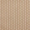 brown striped embroideried fabric from Prestigious Textiles