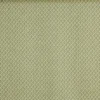 green misc printed fabric from Prestigious Textiles