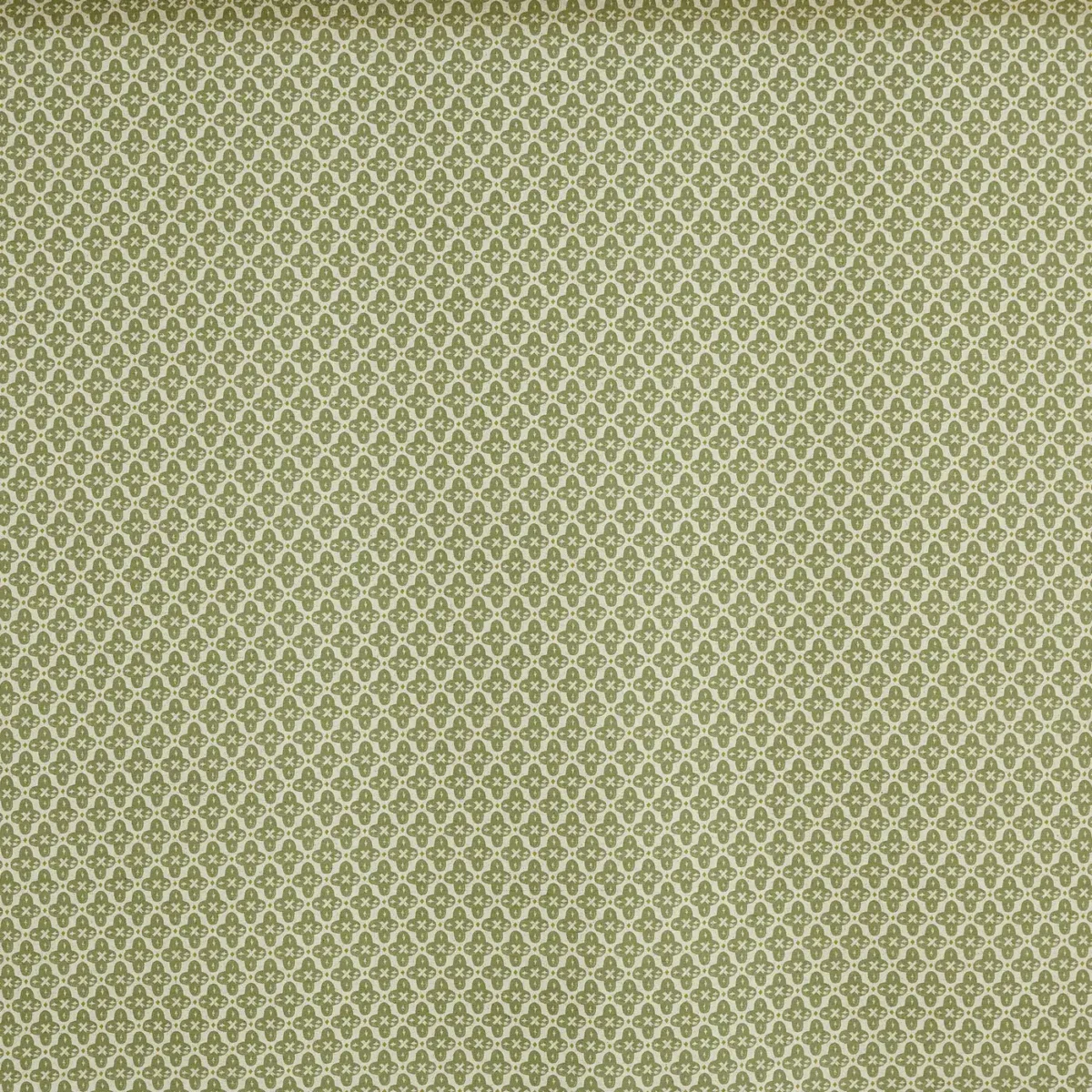 Billy Fabric - Cucumber by green misc printed fabric from Prestigious Textiles