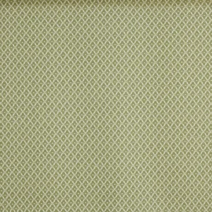 green misc printed fabric from Prestigious Textiles