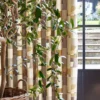 yellow contemporary curtain with plants and vases