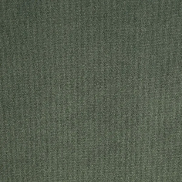 Hampton Fabric - Alpine by green plain velvet-chenille fabric from iLiv