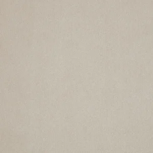 neutral plain velvet-chenille fabric from iLiv