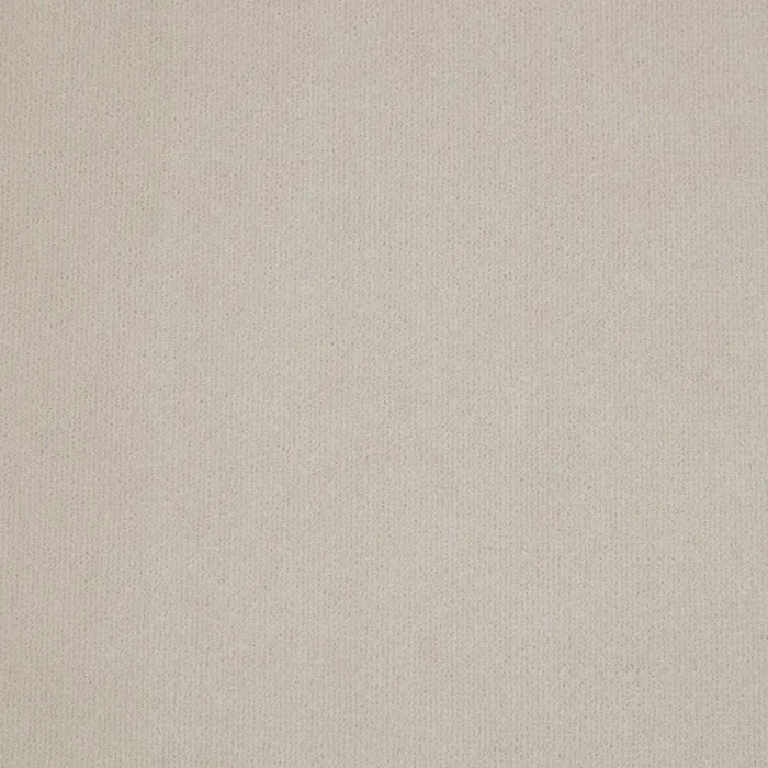 Hampton Fabric - Canvas swatch