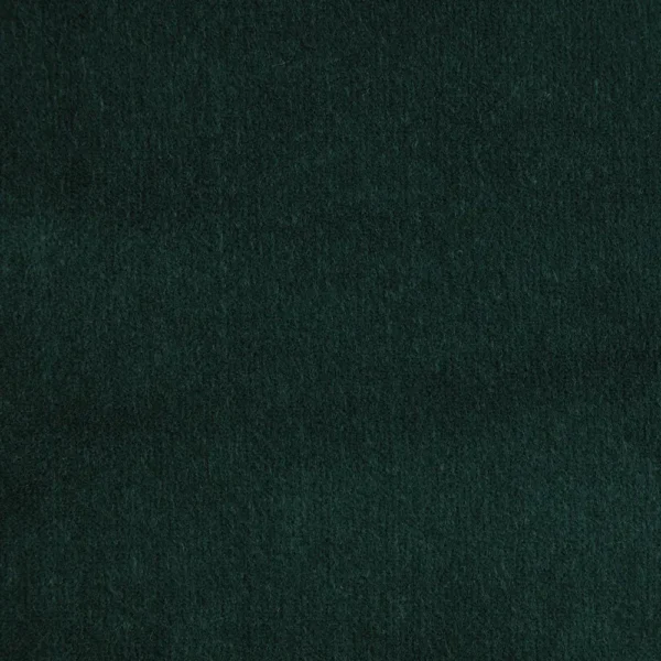 Hampton Fabric - Emerald by green plain velvet-chenille fabric from iLiv