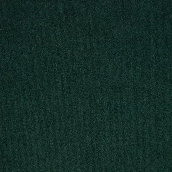 Hampton Fabric - Evergreen by green plain velvet-chenille fabric from iLiv