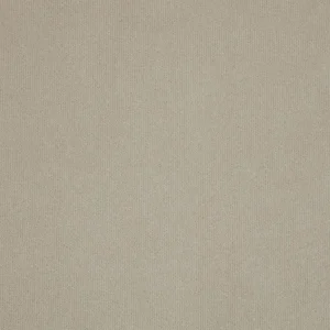 neutral plain velvet-chenille fabric from iLiv