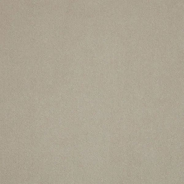 Hampton Fabric - Putty by neutral plain velvet-chenille fabric from iLiv