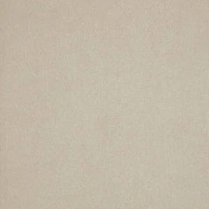 neutral plain velvet-chenille fabric from iLiv