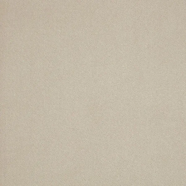 Hampton Fabric - Silver Birch by neutral plain velvet-chenille fabric from iLiv