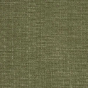 green plain woven fabric from iLiv