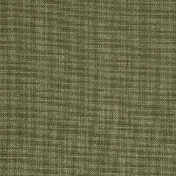 Cairo Fabric - Moss by green plain woven fabric from iLiv