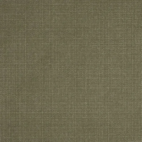 Cairo Fabric - Fern by green plain woven fabric from iLiv