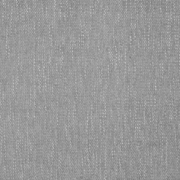 Flynn Fabric - Silver Birch by black-grey plain velvet-chenille fabric from iLiv