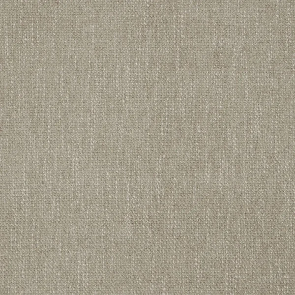 Flynn Fabric - Stone by black-grey plain velvet-chenille fabric from iLiv