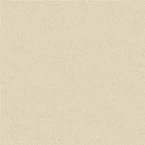 neutral plain misc fabric from Designers Guild