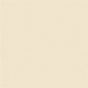 neutral plain misc fabric from Designers Guild
