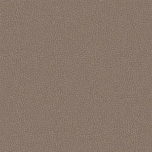 brown plain misc fabric from Designers Guild