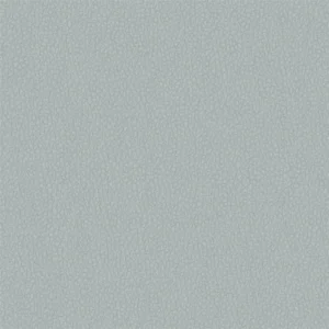 blue plain misc fabric from Designers Guild
