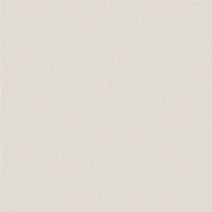 white plain misc fabric from Designers Guild
