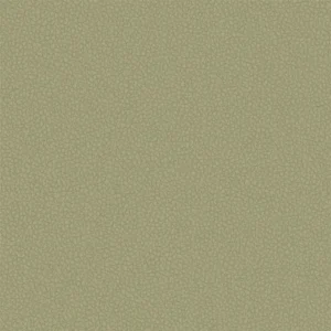 green plain misc fabric from Designers Guild
