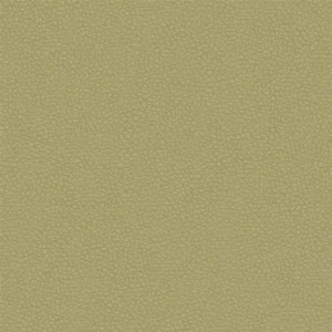 green plain misc fabric from Designers Guild