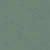 green plain misc fabric from Designers Guild