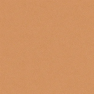 orange plain misc fabric from Designers Guild