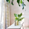 multicolour striped curtain with coffee table and vases