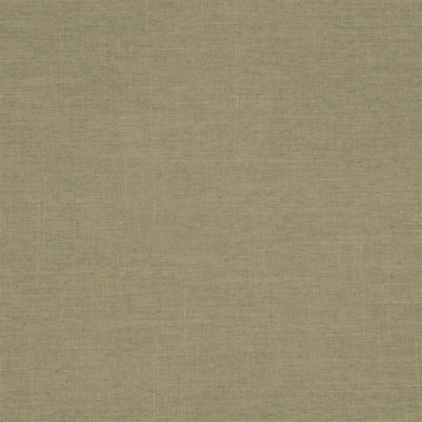 Melzo Fabric - Lichen by green plain woven fabric from Designers Guild