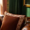 Embroidered velvet border on cushion