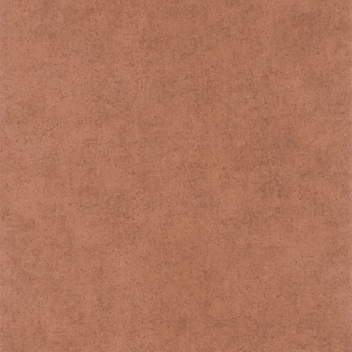 Mur A La Chaux Wallpaper - Terre De Sienne swatch