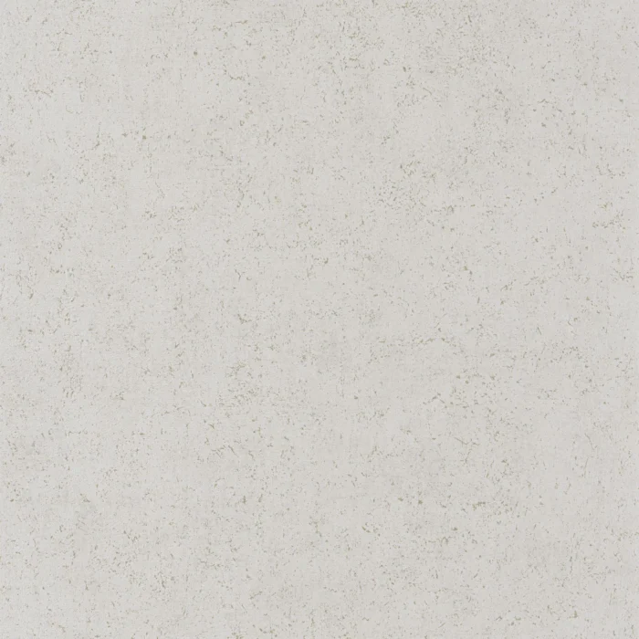 Mur A La Chaux Wallpaper - Gris Calcaire swatch
