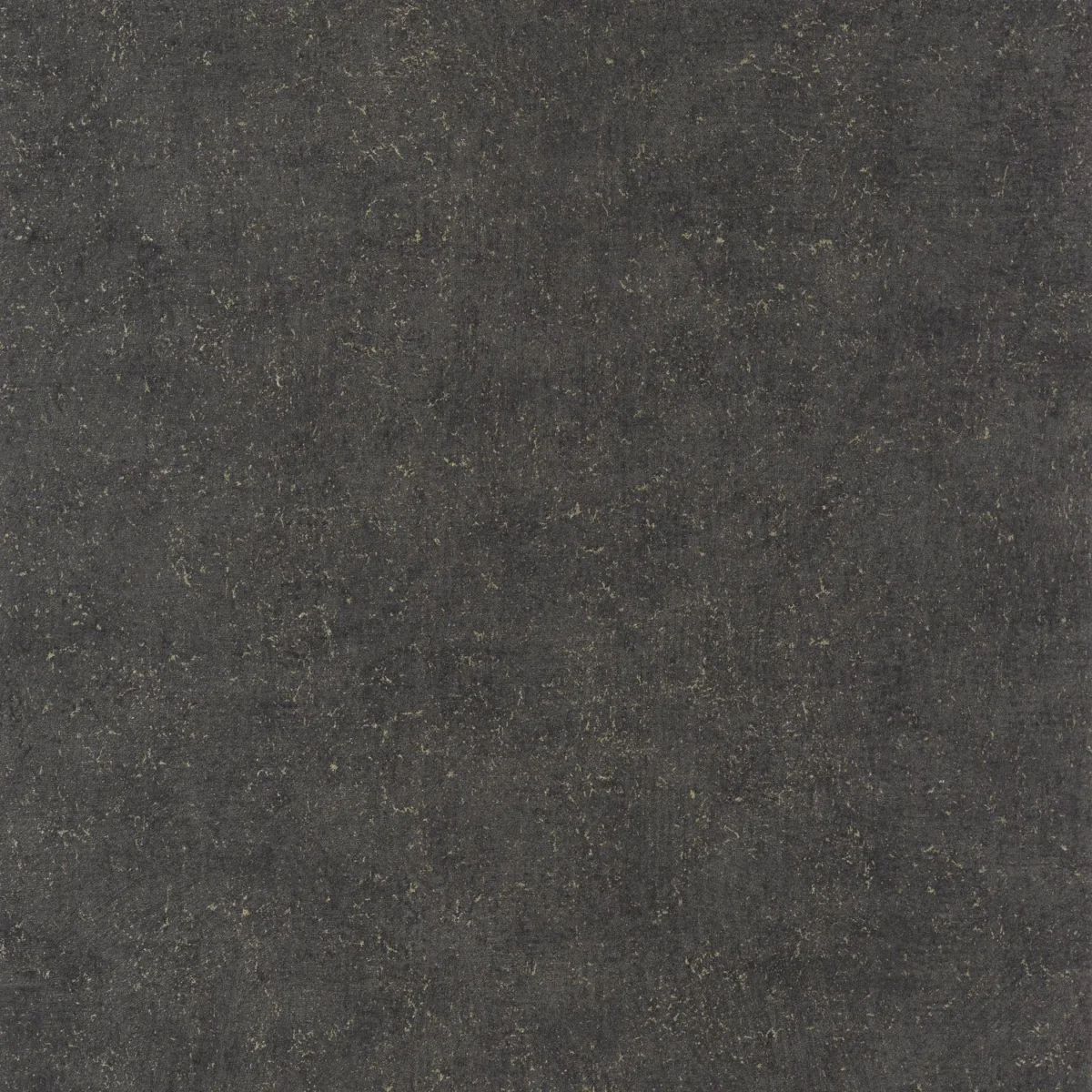 Mur A La Chaux Wallpaper - Noir Graphite by black-grey plain wallpaper from casadeco