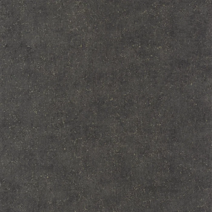 Mur A La Chaux Wallpaper - Noir Graphite swatch