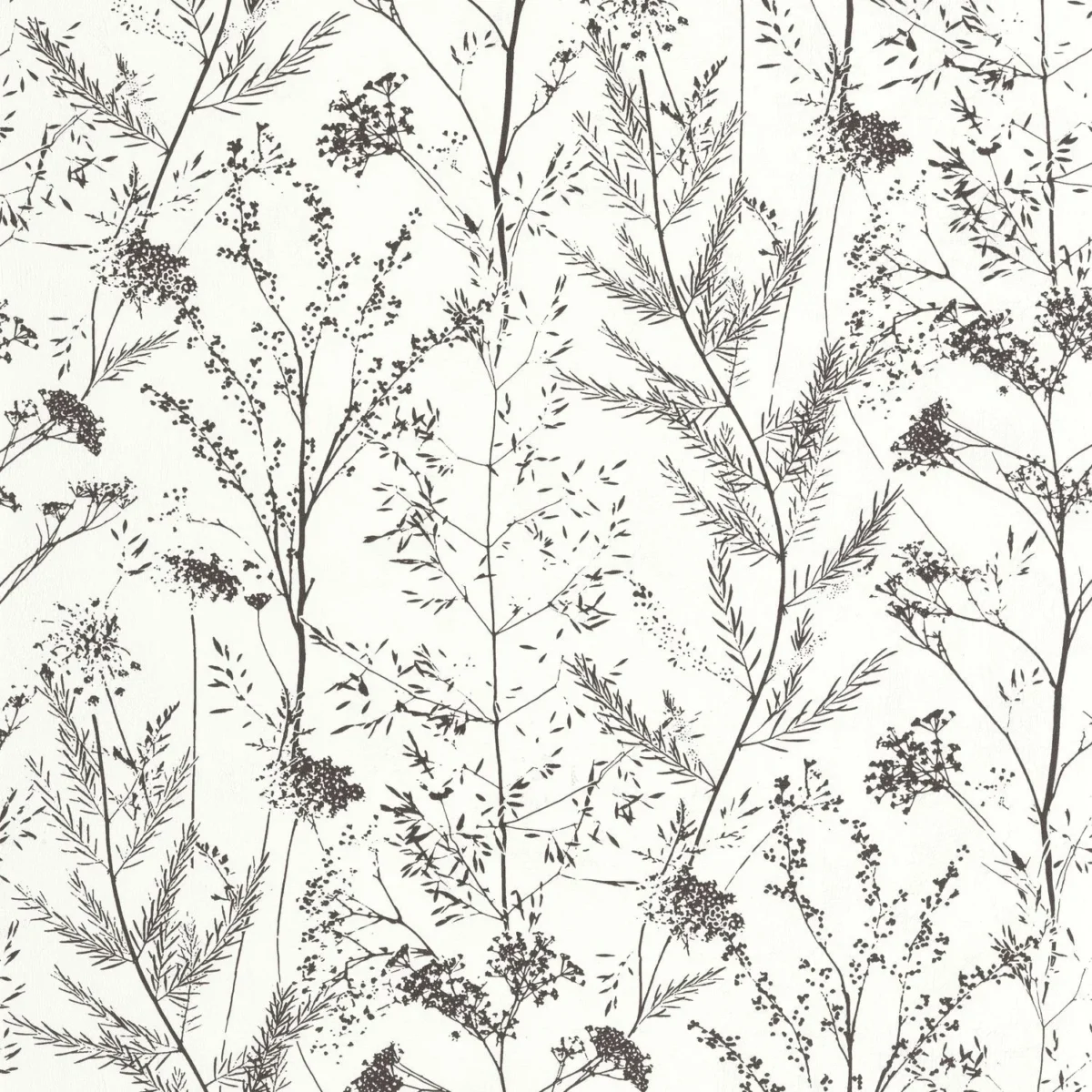Prairie Wallpaper - Reglisse by white botanical wallpaper from casadeco