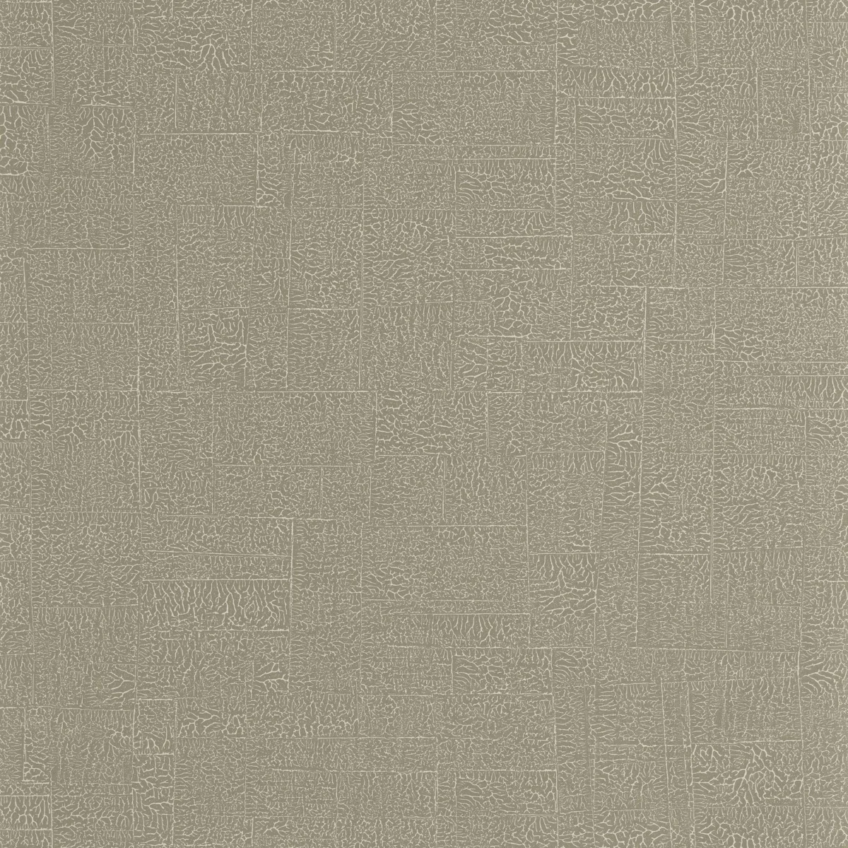 Ecume Wallpaper - Lichen by black-grey plain wallpaper from casadeco
