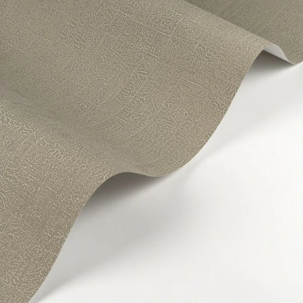 Ecume Wallpaper - Lichen by black-grey plain wallpaper and wave with wallpaper