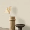 neutral plain wallpaper and wave with wallpaper