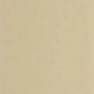 neutral plain wallpaper from casadeco