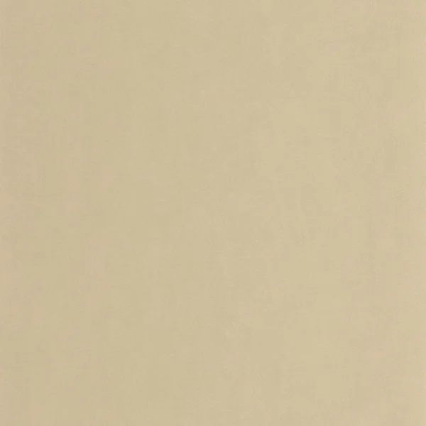 Masaya Wallpaper - Beige Sable by neutral plain wallpaper from casadeco