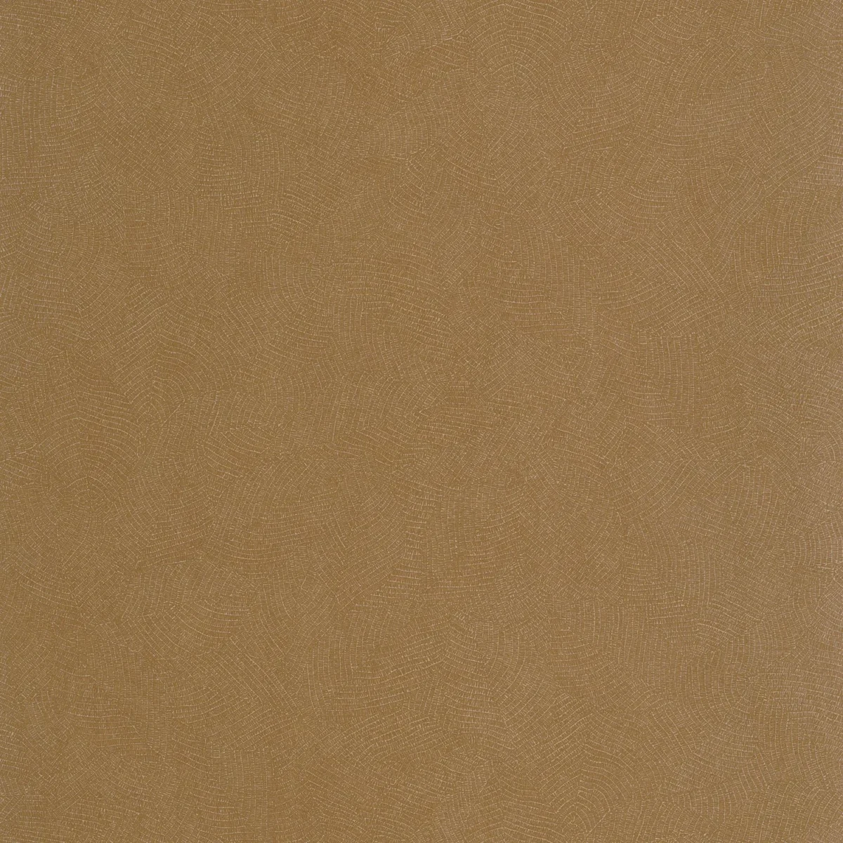 brown plain wallpaper from casadeco