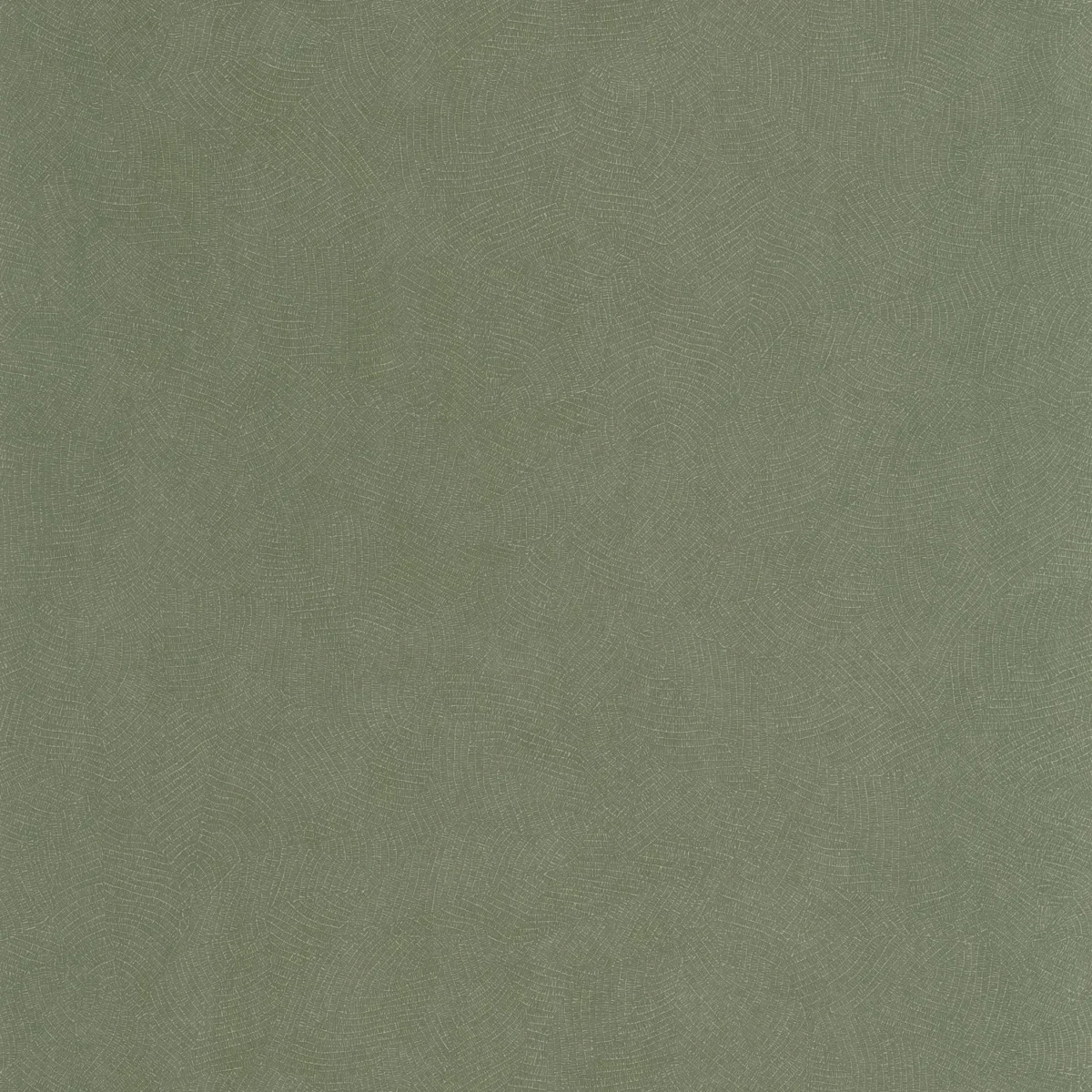 Masaya Wallpaper - Vert Eucalyptus by green plain wallpaper from casadeco